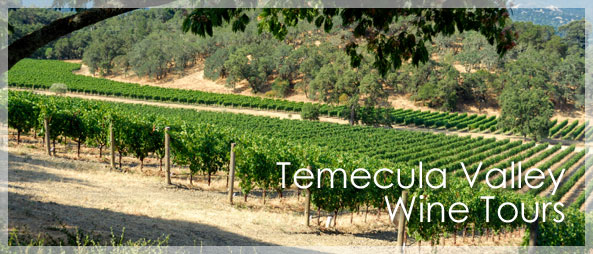 Temecula Valley Winery Tours